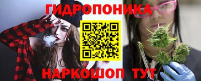 амф Заволжье