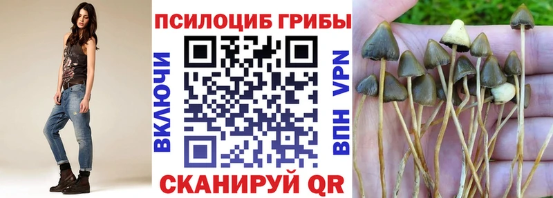 Галлюциногенные грибы прущие грибы  Новочебоксарск 