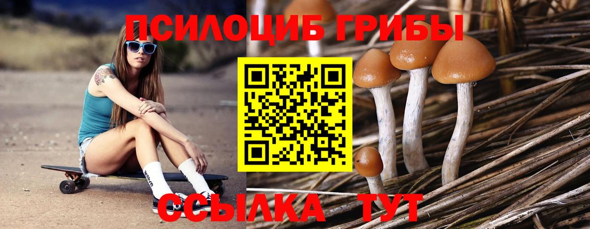 Галлюциногенные грибы мицелий  Вход с VPN  Новочебоксарск 